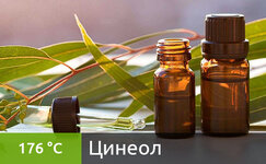 cineol__bfqEaou6Hzp7rMf1.jpg