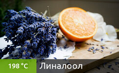 linalool__TQnMHEuTMVGVnt9q.jpg