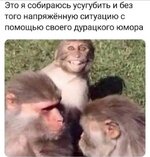 20527277.jpg