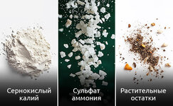 Sera-dlya-konopli__fb0xYVS4LwGDLF6P.jpg Sera-dlya-konopli__fb0xYVS4LwGDLF6P.jpg