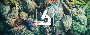 1778915495758.png