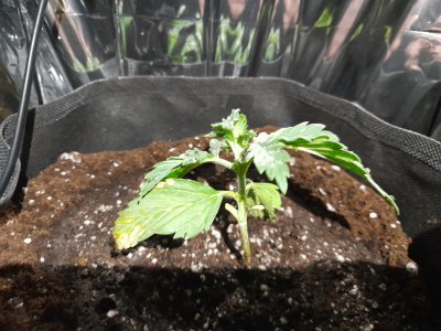 20230225_191007.jpg