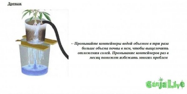 9697f5a3-cd27-4e6d-a315-e7dc15793f33.jpeg