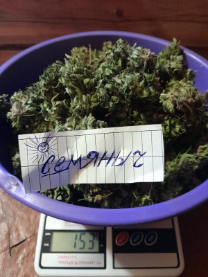 20230815_182943.jpg