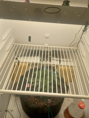 IMG20231111133911.jpg